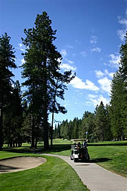 large photos of golf course condo for sale.